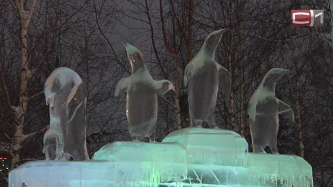 Пингвины в городе! Хрустальный экополис открылся в "Старом Сургуте"