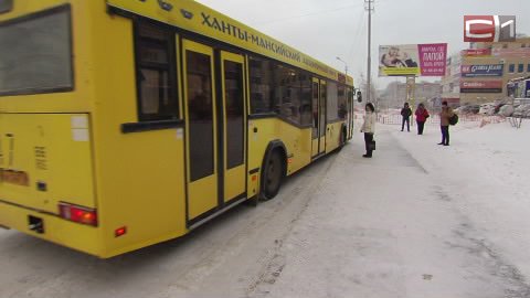 Готовим полтинники! Стоимость проезда в большинстве автобусов Сургута выросла до 22,5 рубля