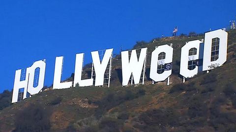 В Лос-Анджелесе хулиган переименовал памятный знак Hollywood‍ в «святую марихуану». ФОТО