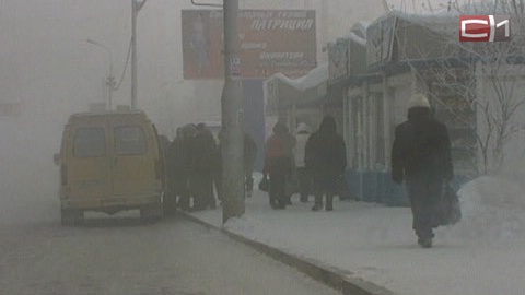 На 15 градусов ниже нормы! Морозы в Сургуте и районе продержатся до начала следующей недели