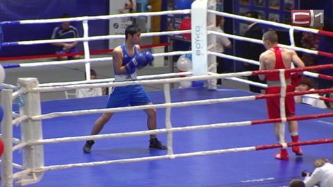 Вход свободный! Сургут вновь принимает турнир по боксу памяти Павла Малаховского
