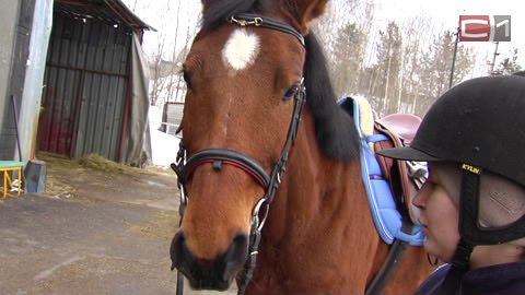  Лошадь и наездник — одна команда. Сургутяне завоевали 8 медалей на окружных соревнованиях по конному спорту