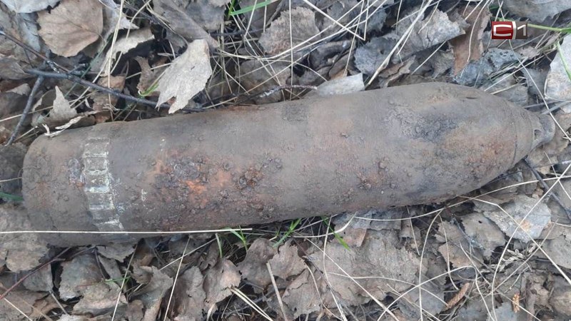В Тюменской области нашли артиллерийский снаряд времен гражданской войны