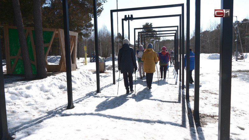 Победитель голосования: реновация сургутского парка «За Саймой» продолжится