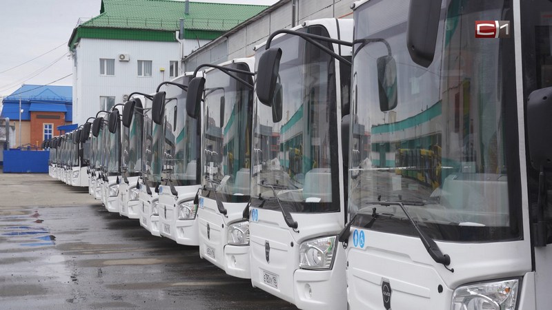 По новым маршрутам: транспортной реформе в Сургуте исполнился год