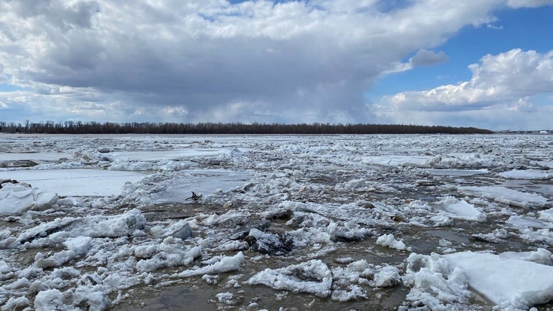 Начался ледоход: на Оби в Нижневартовске повысился уровень воды