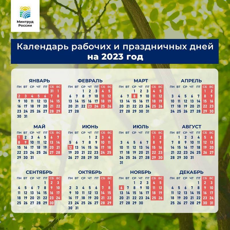 Сколько выходных и праздничных дней будет у россиян в 2023 году -Новости  Сургута