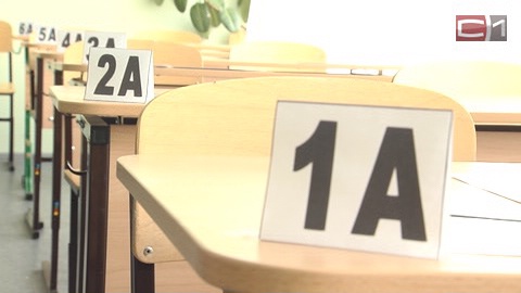 Превратности ЕГЭ. Школьнице в Екатеринбурге грозит штраф за записанное на руке решение