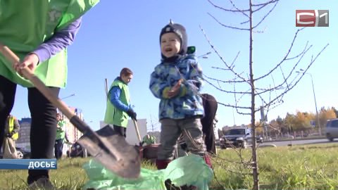 Посади дерево! Жители Нижневартовска могут принять участие в озеленении города