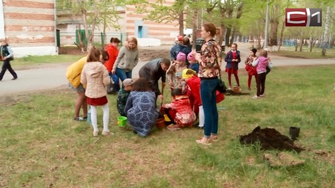 Дети за экологию! В Тюмени трудолюбивые школьники высадили аллею дубов