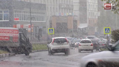 Гроза, град и сильный ветер: МЧС предупреждает сургутян о ненастной погоде в понедельник