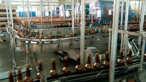 Модернизация по-итальянски. Иностранные специалисты настраивают оборудование на тюменском заводе по производству стеклотары