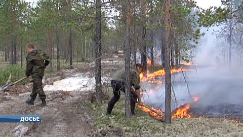 В Югре введен режим ЧС из-за лесных пожаров