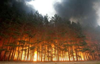 2 тыс. га леса в огне. В Сургутском районе бушует 5 природных пожаров