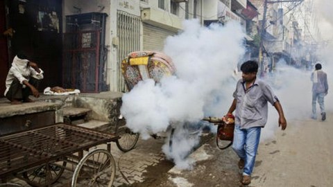 Поездку в Индию лучше отложить: там бушуют лихорадки