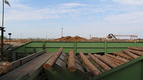 Правительство Югры предложит бизнесу инвестпроекты для развития деревообработки
