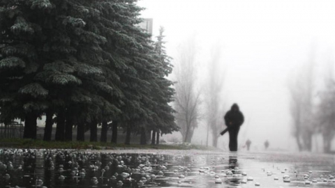 В течение недели температура воздуха в Сургуте понизится до  нуля