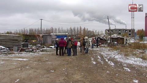 Центр помощи бездомным животным в Сургуте сам нуждается в помощи  