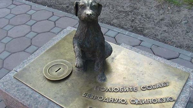 Памятник бездомной собаке, или "Латание дыр"? Сургутян приглашают выбрать лучшие общественные инициативы