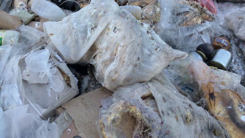 Завалящий товар? В столице Югры на свалке обнаружили груды импортной свинины 8-летней давности 