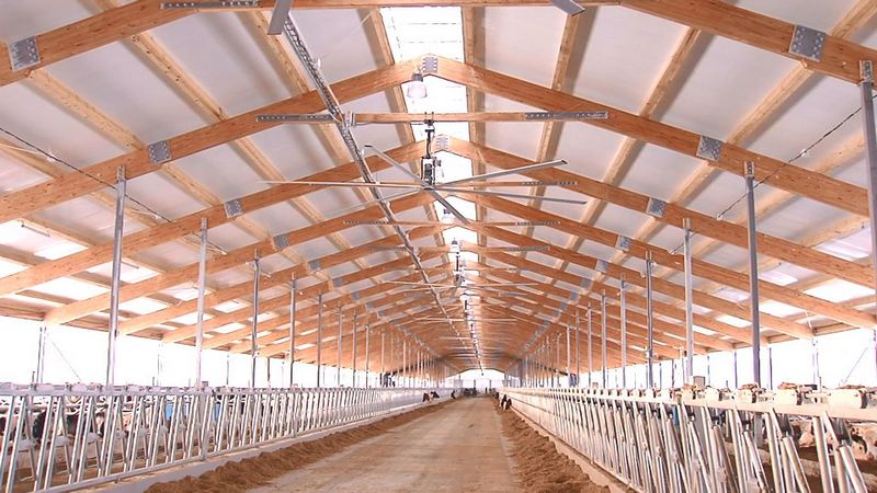 Новая ультрасовременная молочная ферма в Тюменской области может стать самой большой в России