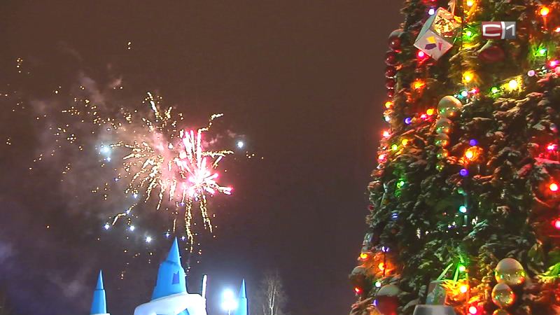 Отпраздновали. В полиции Сургута назвали самые распространенные «новогодние» правонарушения