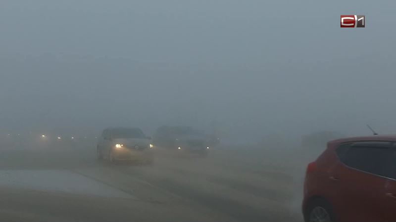 Югру затянет туманом. В окружной ГИБДД просят водителей быть бдительными