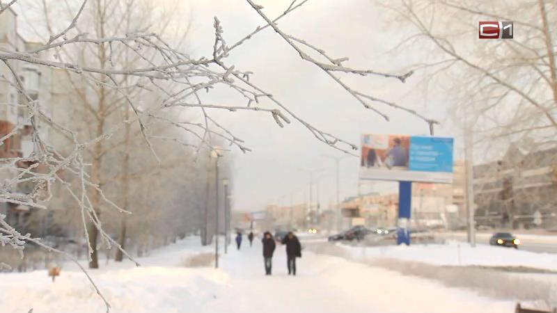 Завтра в Сургуте ожидается шквалистый ветер и метели