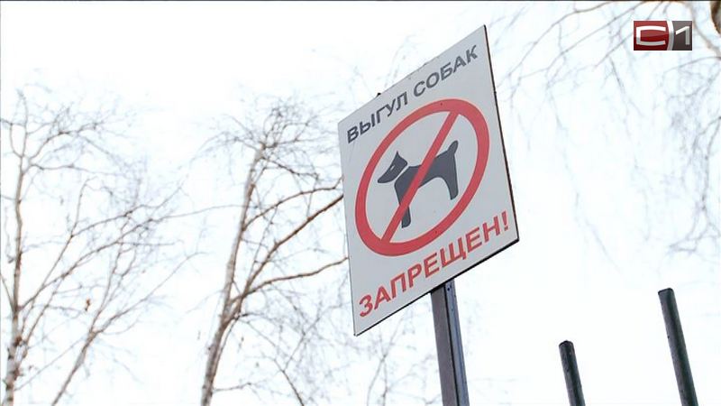 Тюменские собаководы заплатят 34 тысячи рублей штрафов за выгул питомцев в неположенных местах