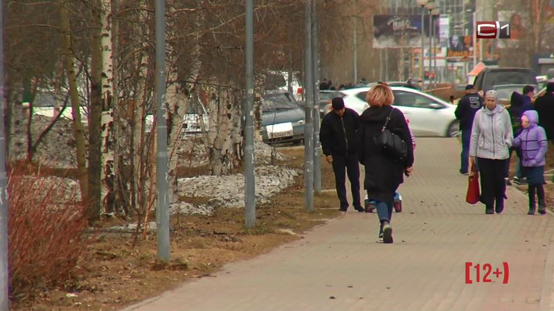 СКОРО: кто в ответе за чистоту на сургутских улицах?