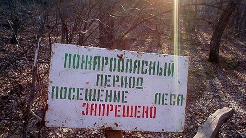 Любителей пожарить шашлык в городских лесах Сургута отыщет квадрокоптер