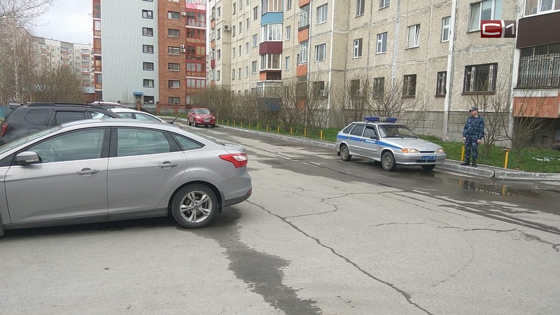 В центре Сургута полицейские ловят рысь. ФОТО
