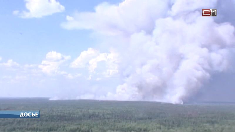  С начала июня в Югре произошло 4 лесных пожара