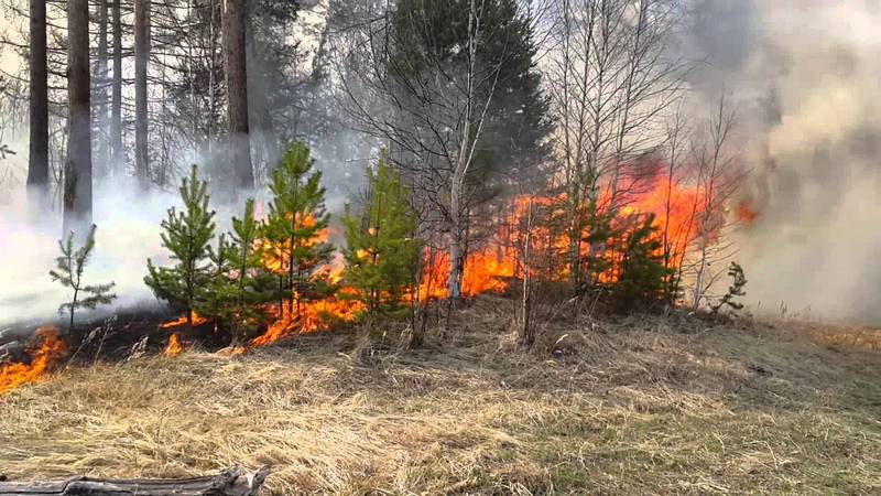 Гроза спровоцировала два пожара в лесах Югры 