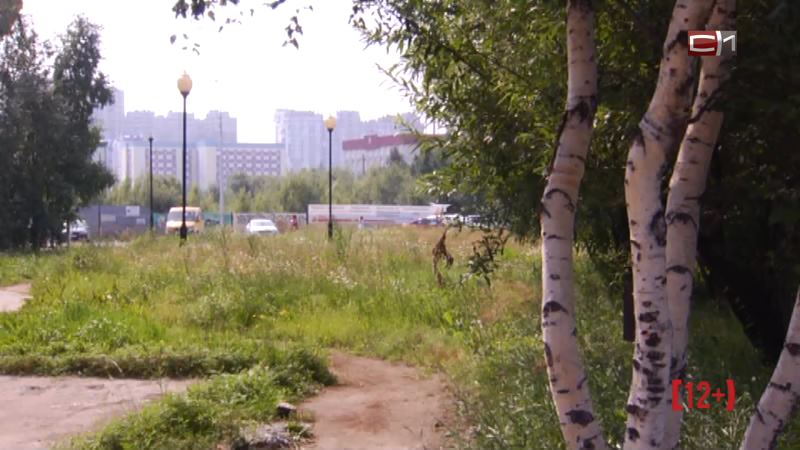 СКОРО: где в Сургуте будут организованы зоны отдыха у воды