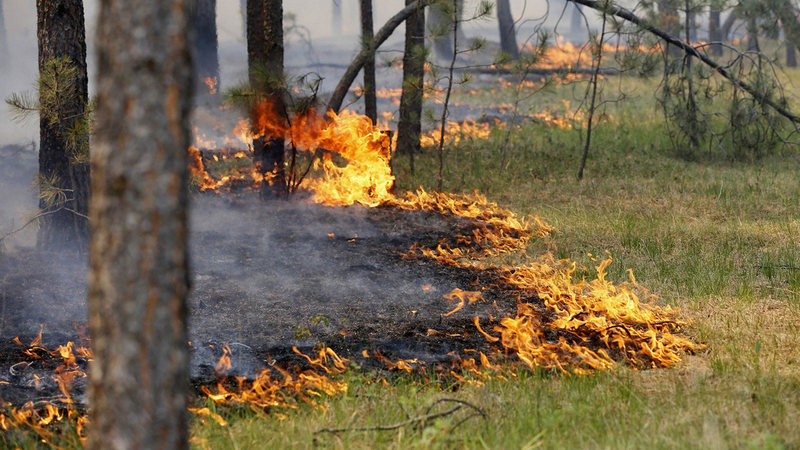 За сутки на территории Югры вспыхнули еще три пожара