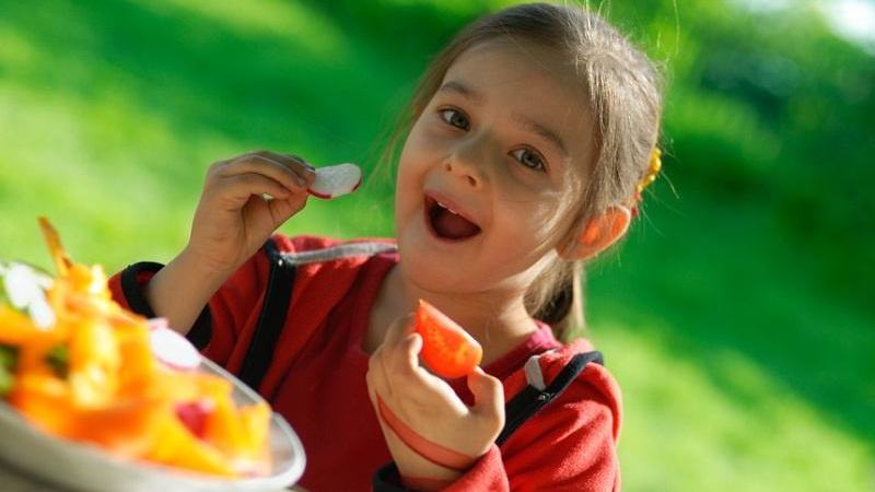Могут ли родители проверить, чем кормят их детей в летних детских лагерях?