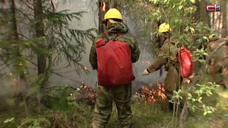 Виноваты сухие грозы: шесть лесных пожаров за сутки ликвидированы в Югре
