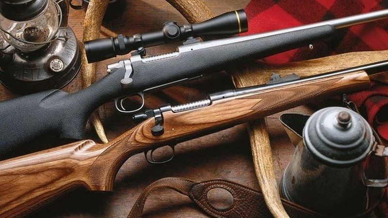  Россиянам могут разрешить покупать больше охотничьего и спортивного оружия