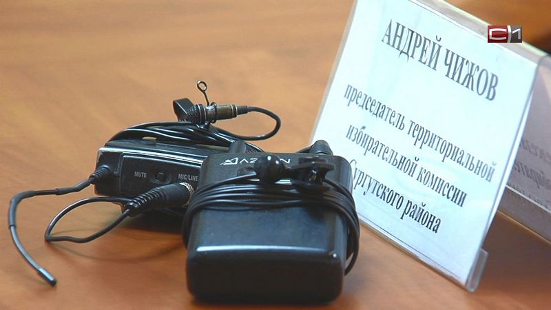 Выборы в Сургутском районе: четыре претендента пытались скрыть наличие судимости  