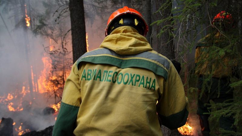 Тысяча сотрудников на страже миллионов гектаров леса: Авиалесохране Югры 25 лет 