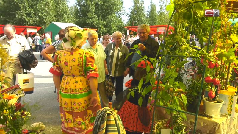 Территория креативного земледелия: дачники Сургута отметили любимый праздник