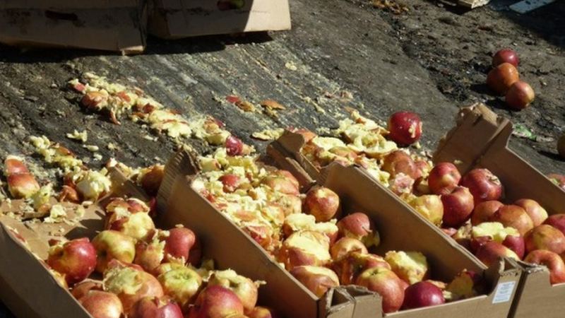 Почти 10 тонн санкционных овощей и фруктов уничтожено в Югре