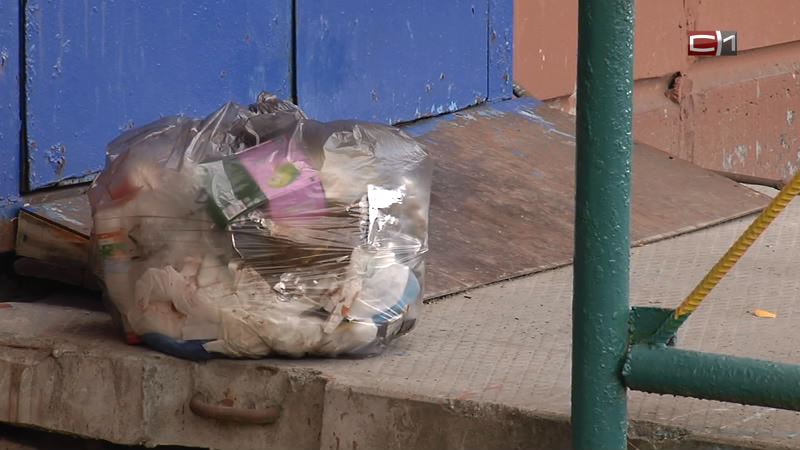 Утопаем в мусоре? Сколько урн не хватает Сургуту и кто в ответе за чистоту на улицах