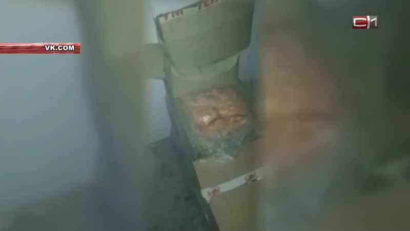 Продавцы сургутской «Пятерочки» закрыли подростка в холодильнике