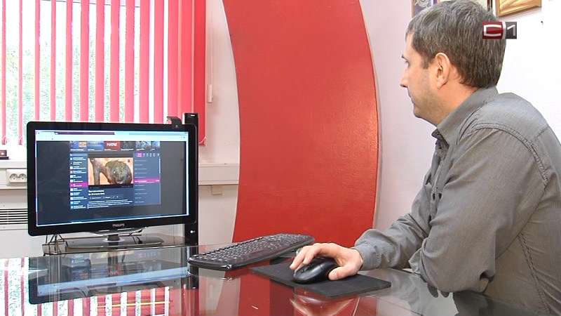 Мы стали доступнее. Телеканалы С-1 и 86 появились в приложении  Peers.tv