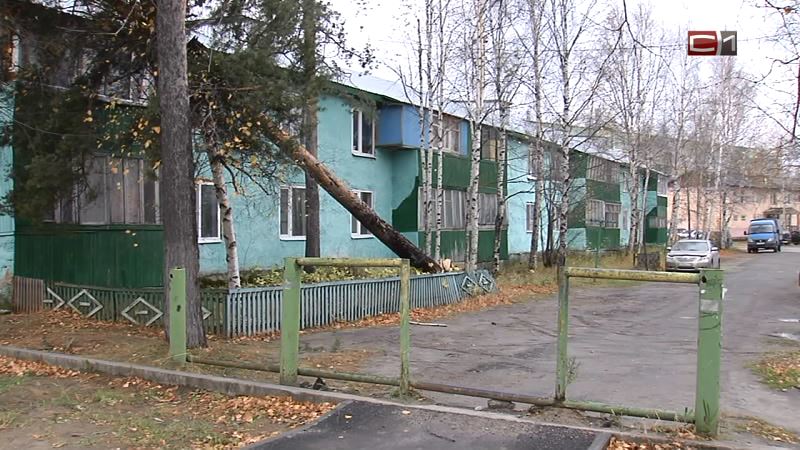 Сорванные кровли, выбитые окна: Белый Яр «приходит в себя» после урагана