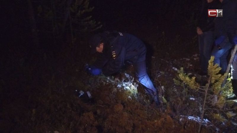 В лесу под Сургутом найдено тело пропавшей месяц назад женщины