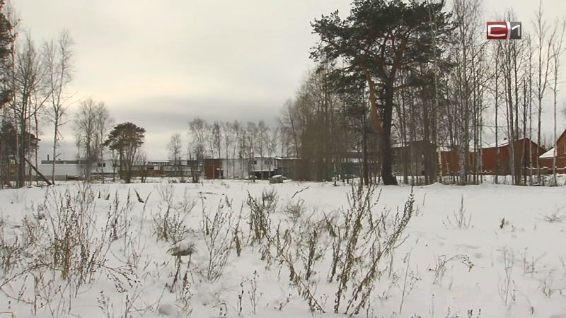 «Зона озеленения». Судьба пустыря на месте бывшего тубдиспансера в Сургуте пока под вопросом