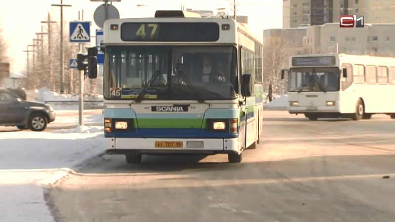 На оживленных городских маршрутах Сургута увеличится количество автобусов
